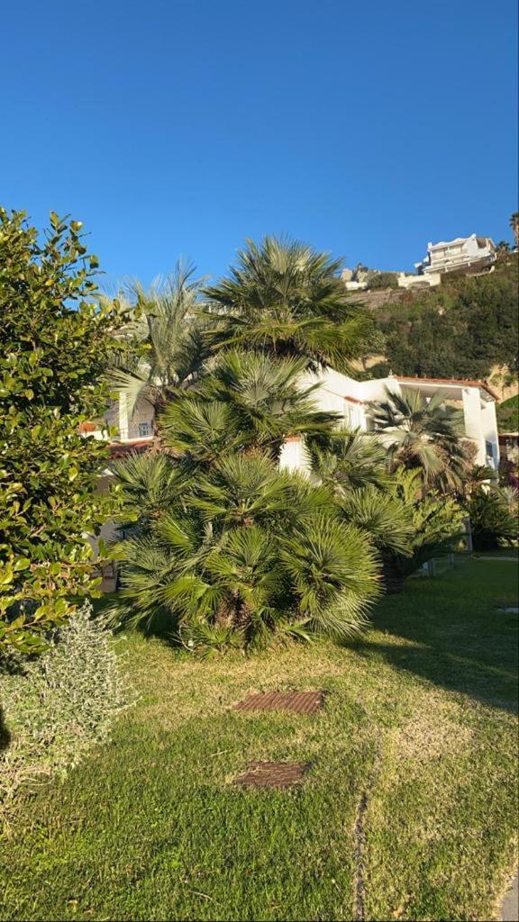 Casa Margherita Ischia Forio di Ischia Exterior foto